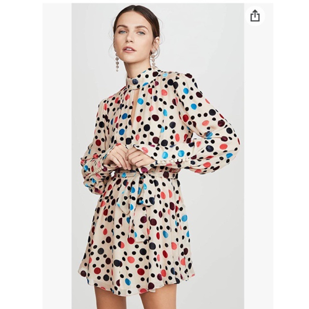 SALONI Tania Flocked Polka-Dot Dress